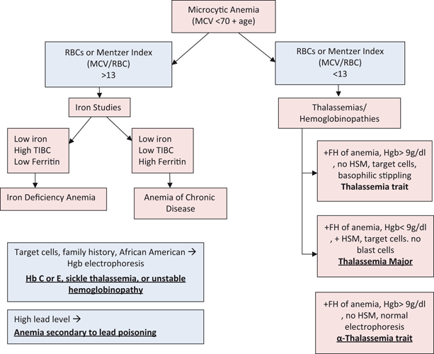 structure 4