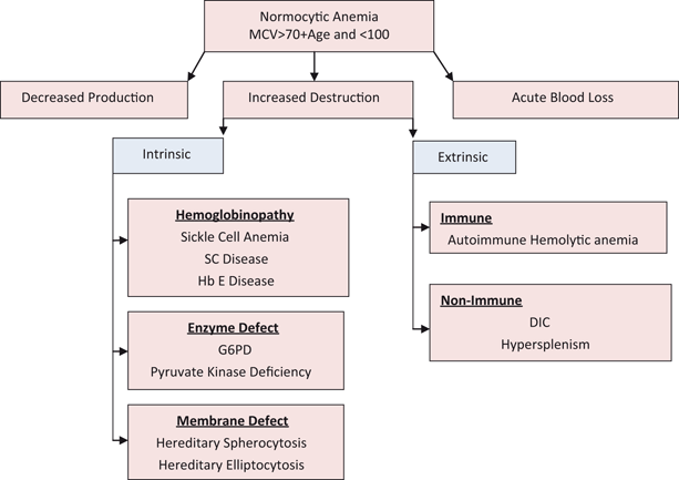 structure 7