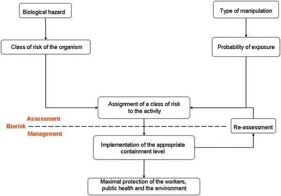 Biosafety Recommendations on the Handling of Animal Cell Cultures | SpringerLink Biosafety Recommendations on the Handling of Animal Cell Cultures | SpringerLink