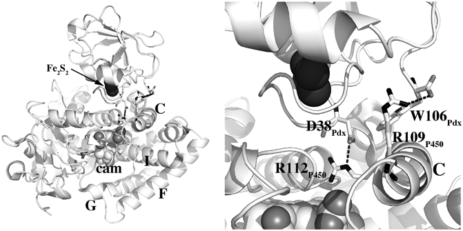 figure 22