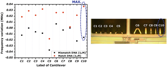 figure 33