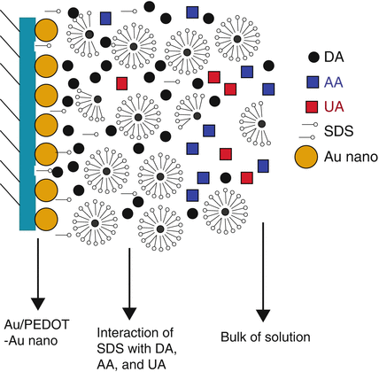 scheme 6