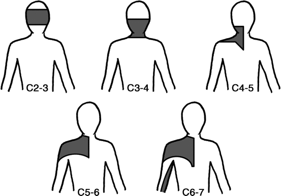 Anatomical Considerations of the Thoracic Spine