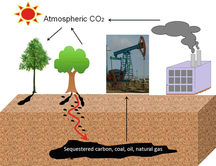 figure 41