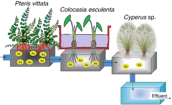 figure 48