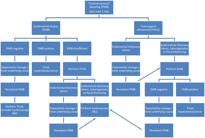 Diagnosis and Management of Postmenopausal Bleeding