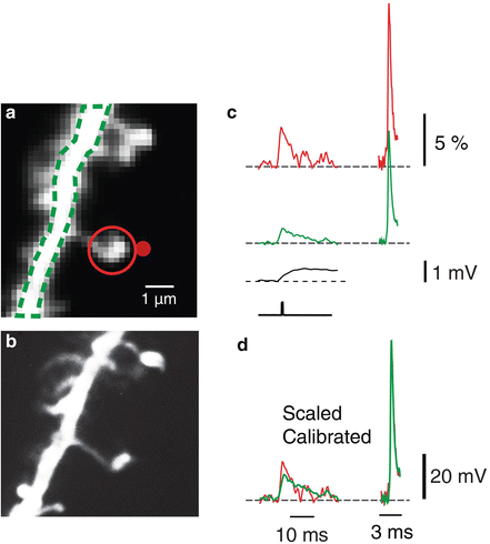 figure 17