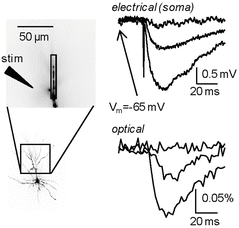 figure 18