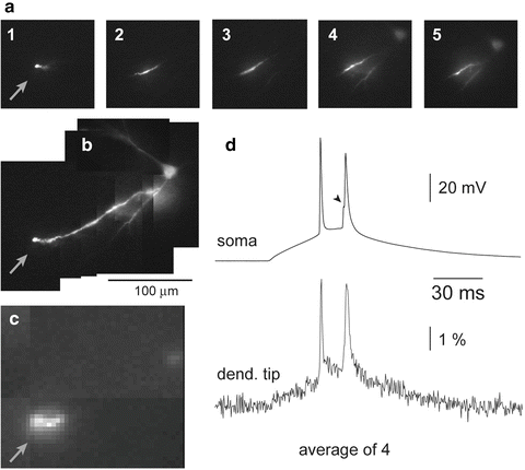 figure 19