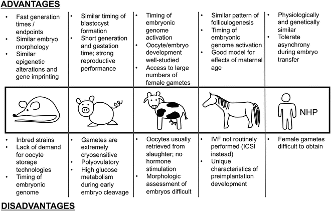 Animal Models for Developing Clinical Lab Procedures | SpringerLink Animal Models for Developing Clinical Lab Procedures | SpringerLink