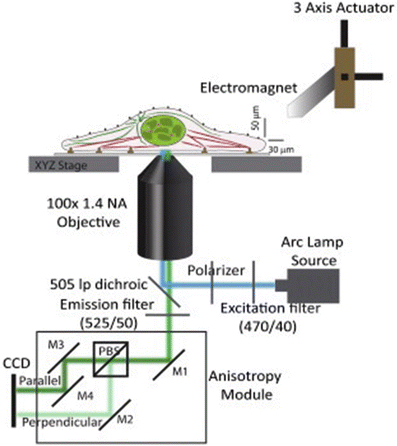 figure 15