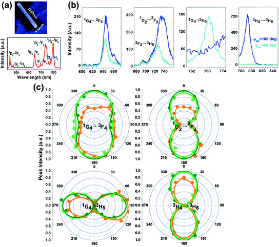 figure 17