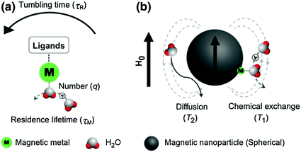 figure 24