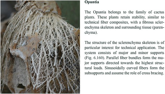 figure 160