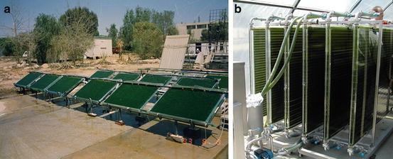 Thin-Layer Systems for Mass Cultivation of Microalgae: Flat Panels and  Sloping Cascades | SpringerLink