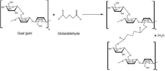 glutathione gs-sg Biosynthesis of GSH and GSH/GSSG redox system with related enzymes such...