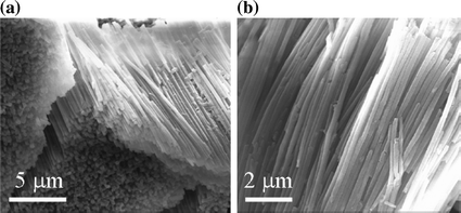 figure 23