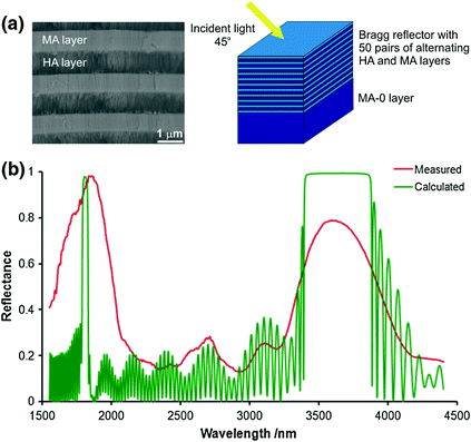 figure 31