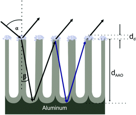 figure 44