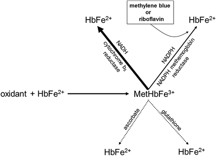 methylene blue and glutathione Hematologic Syndromes: Hemolysis, Methemoglobinemia, and Sulfhemoglobinemia