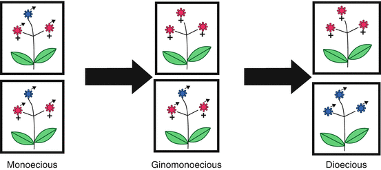 figure 25