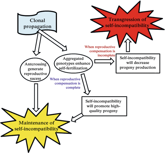 figure 28