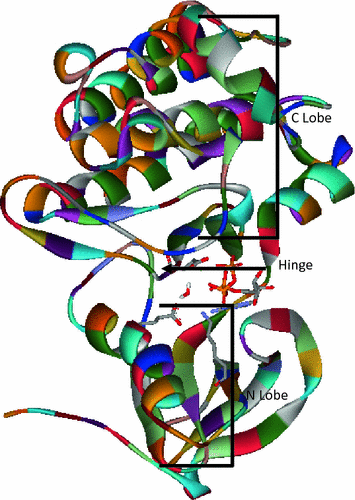 figure 20