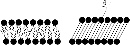 Introducing Rippling + Tilt