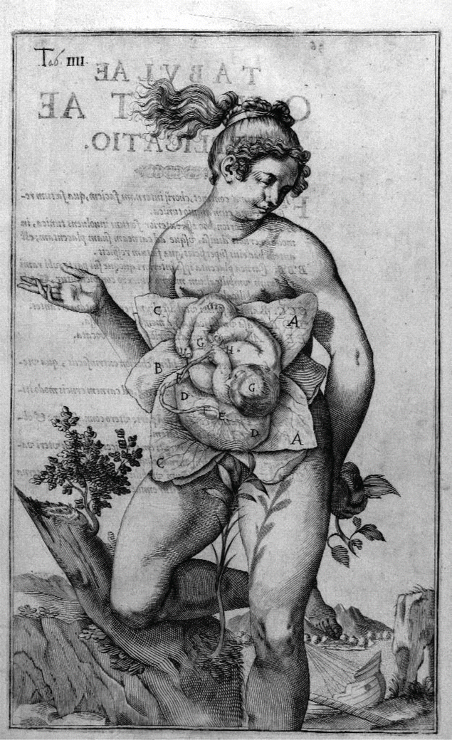 Cupid Unfastening the Girdle of Venus Wood Print by Joshua