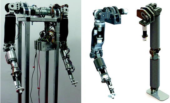 Photography of assistive humanoid robot Marko (a) and its kinematic
