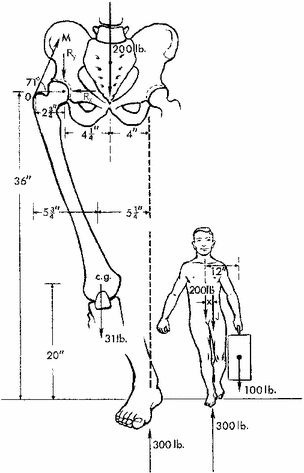 figure 51