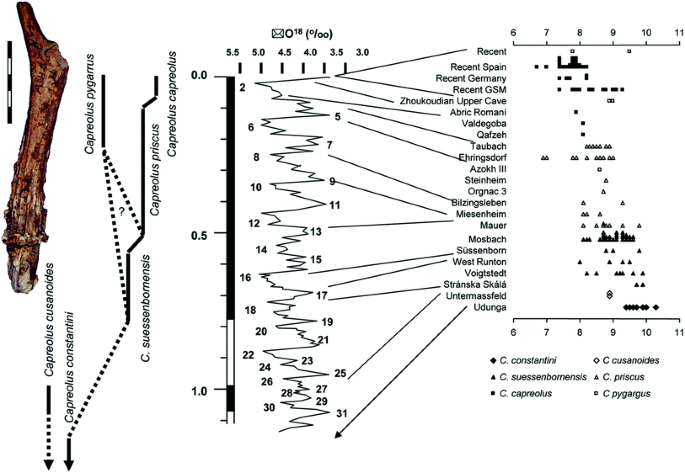 figure 16