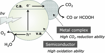 scheme 5