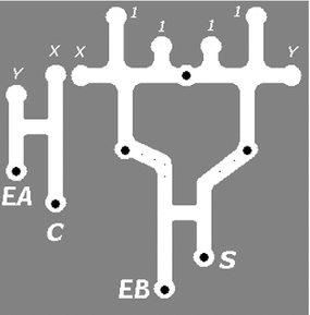 figure 19