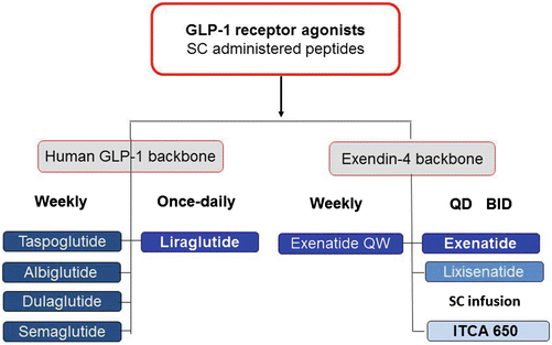 exenatide glp 1 Treatment with GLP-1 Receptor Agonists