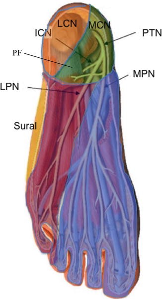 figure 32