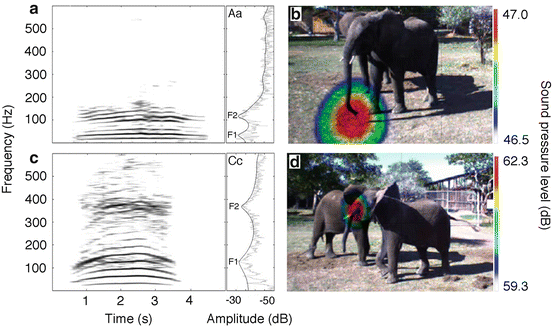 split-screen visualization comparing elephant infrasonic calls with whale song patterns in spectral display
