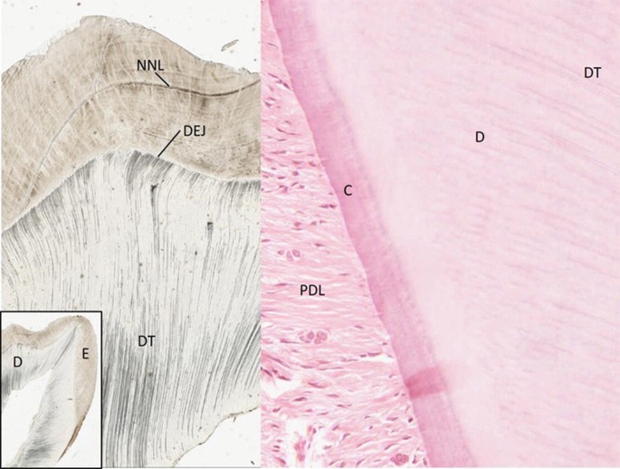 figure 29