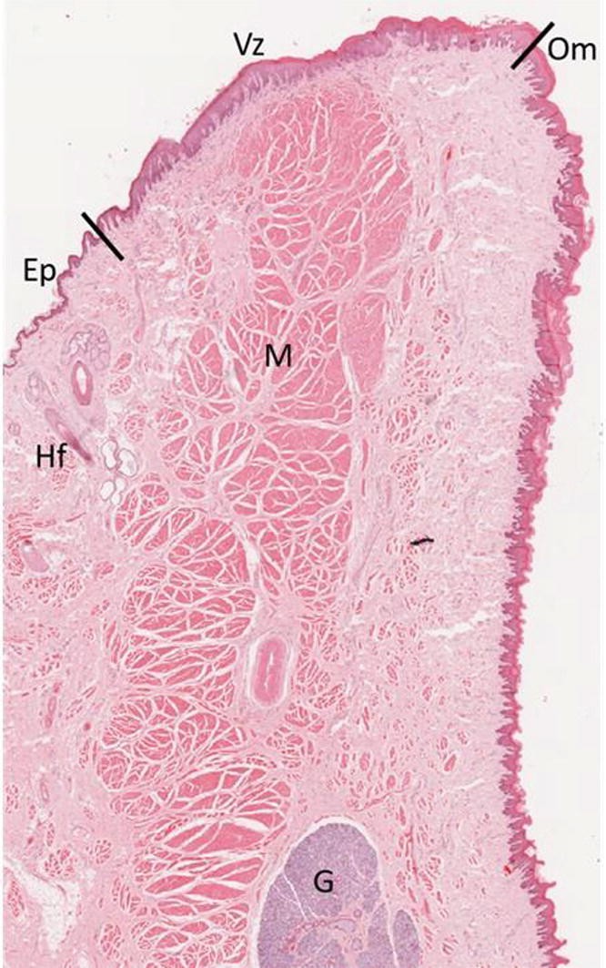 figure 48