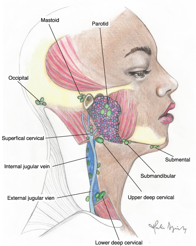 figure 49