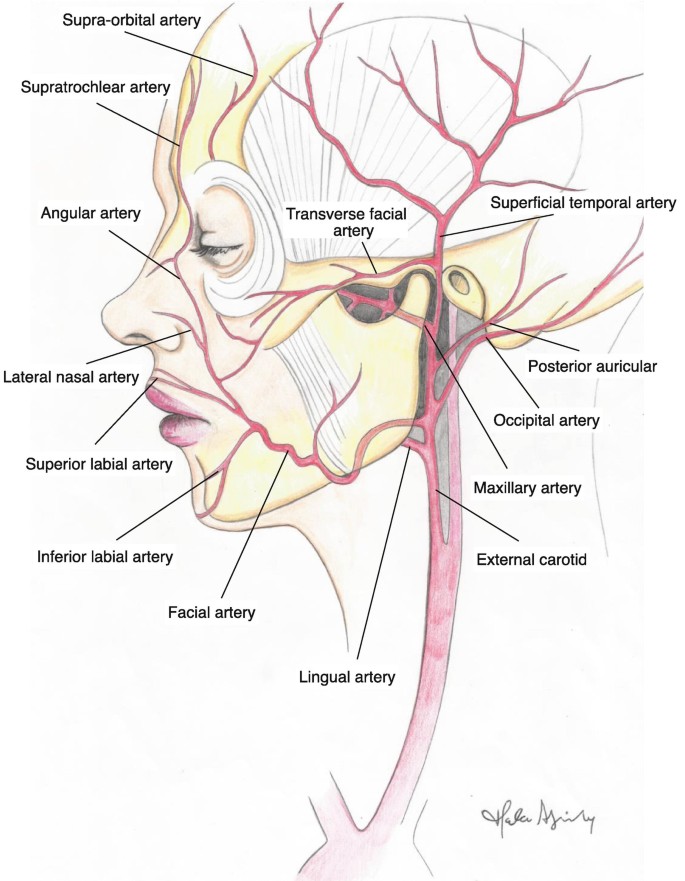 figure 51