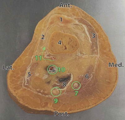 figure 40