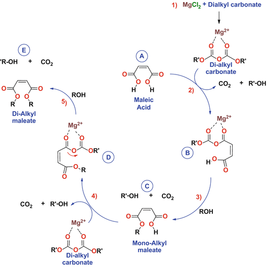 scheme 13