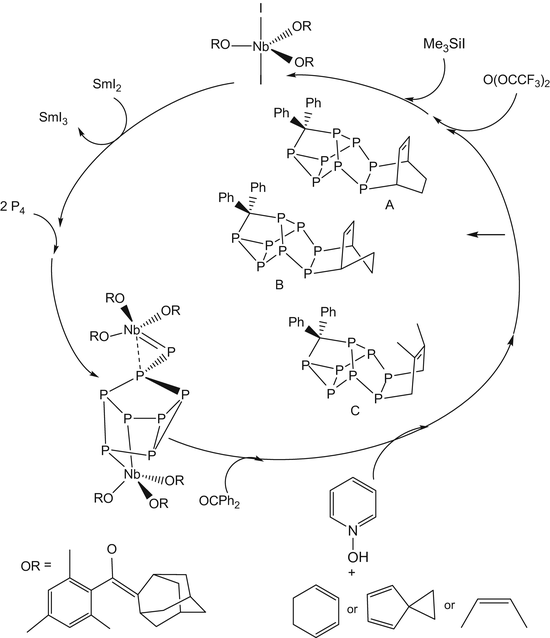 scheme 7