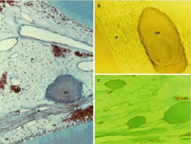 figure 24