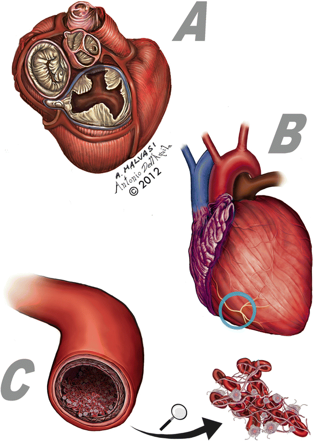 figure 21