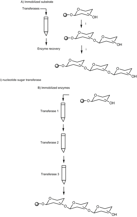 scheme 116