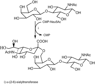 scheme 97