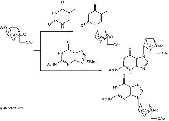 scheme 24