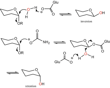 scheme 13